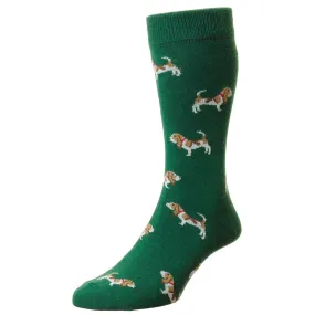 Bisley Hounds Socks