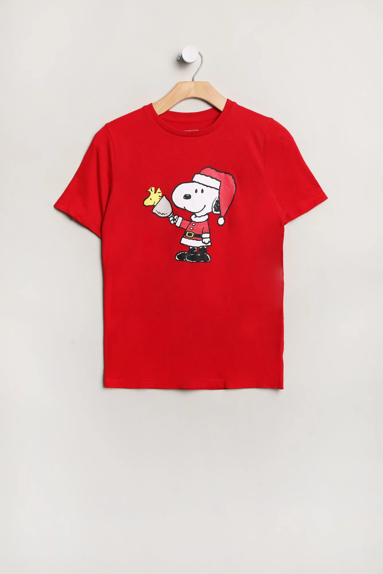 Boys' Peanuts Snoopy And Woodstock Santa Outfit Graphic Classic Tee