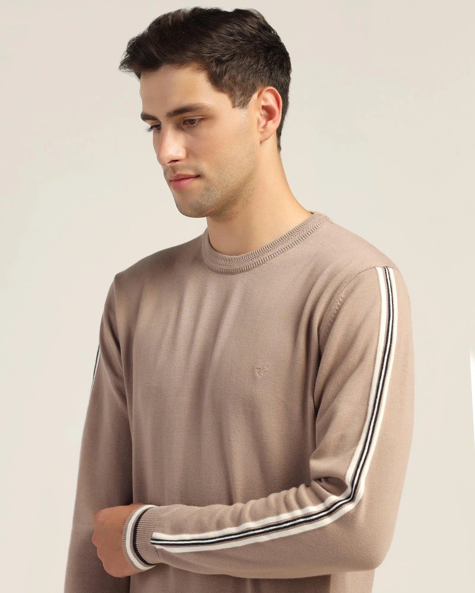 Crew Neck Beige Stripe Sweater - Forge