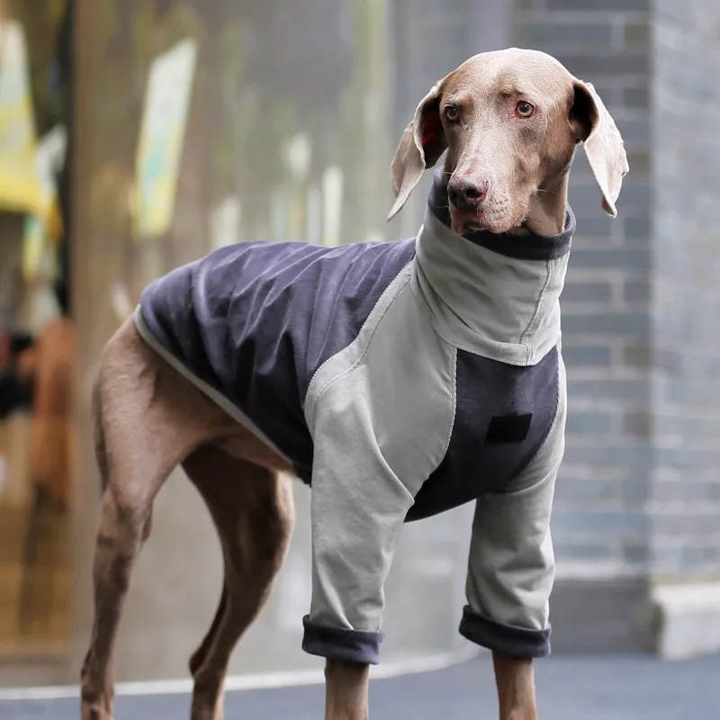 Grays Corduroy Sweater