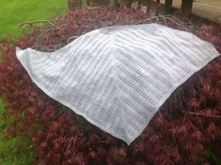 Hand Knit - Shawls and Shawlettes - Seadge Shawl