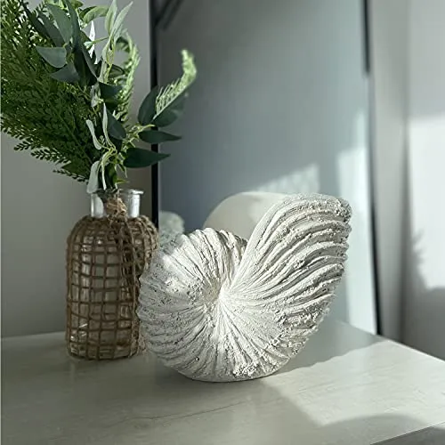 Huey House Nautilus Shell Sculpture - Replica Beach Themed Ocean Decor for Home - Rustic White Resin 10¼" x 6" x 8" Crafted Coastal Seashell Shelf Decor Gift-Boxed