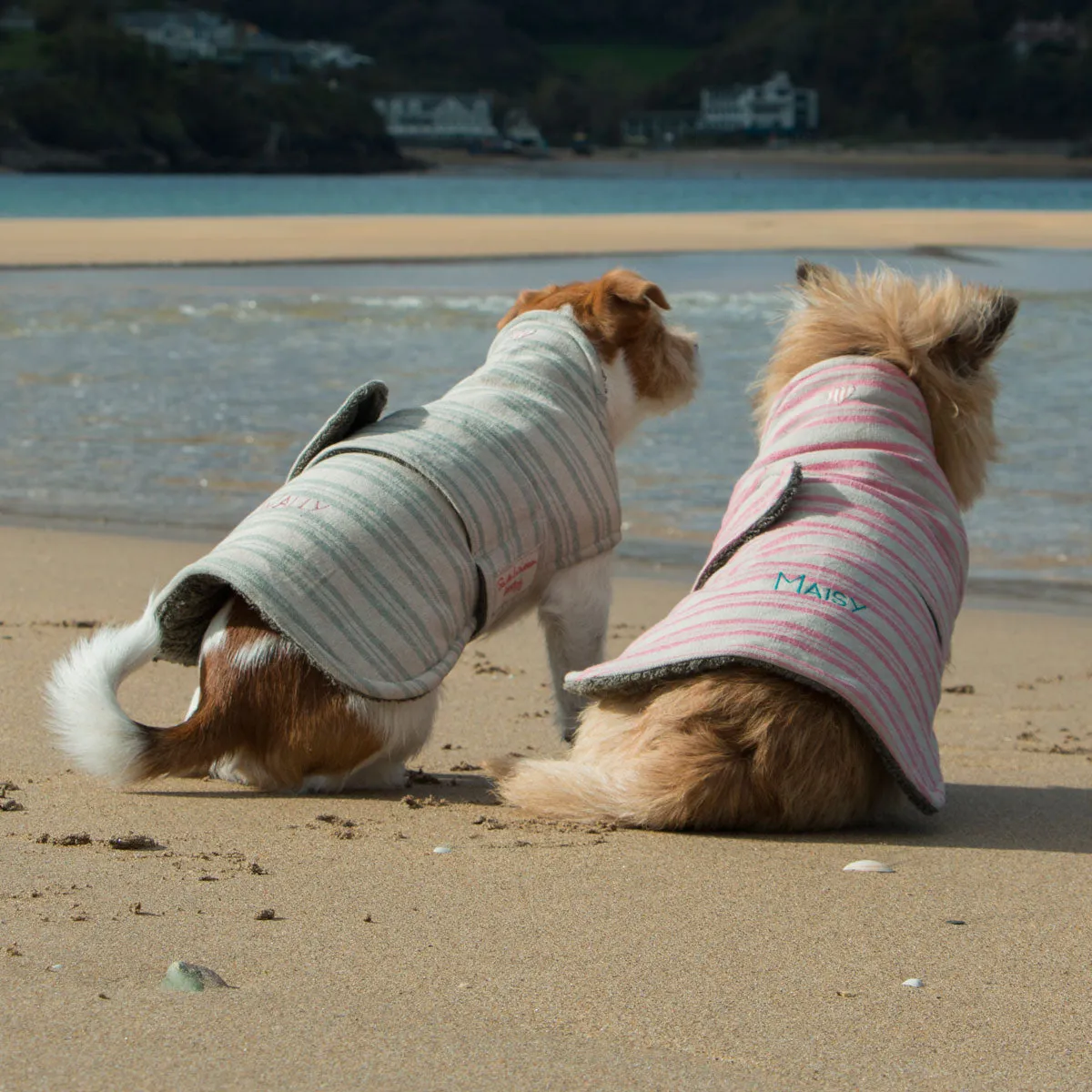 Personalised Rose Stripe Dog Coat