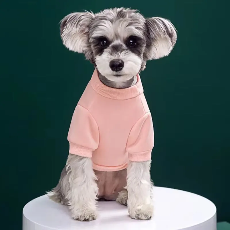 Sweater For a Small Dog