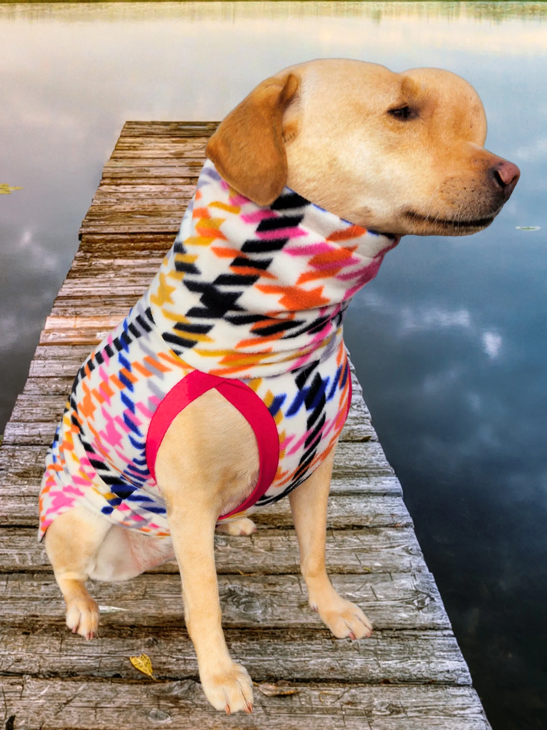 The Pepita Rainbow Dog Sweater