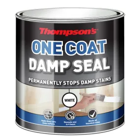 Thompsons One Coat Damp Paint - Seal 2.5L