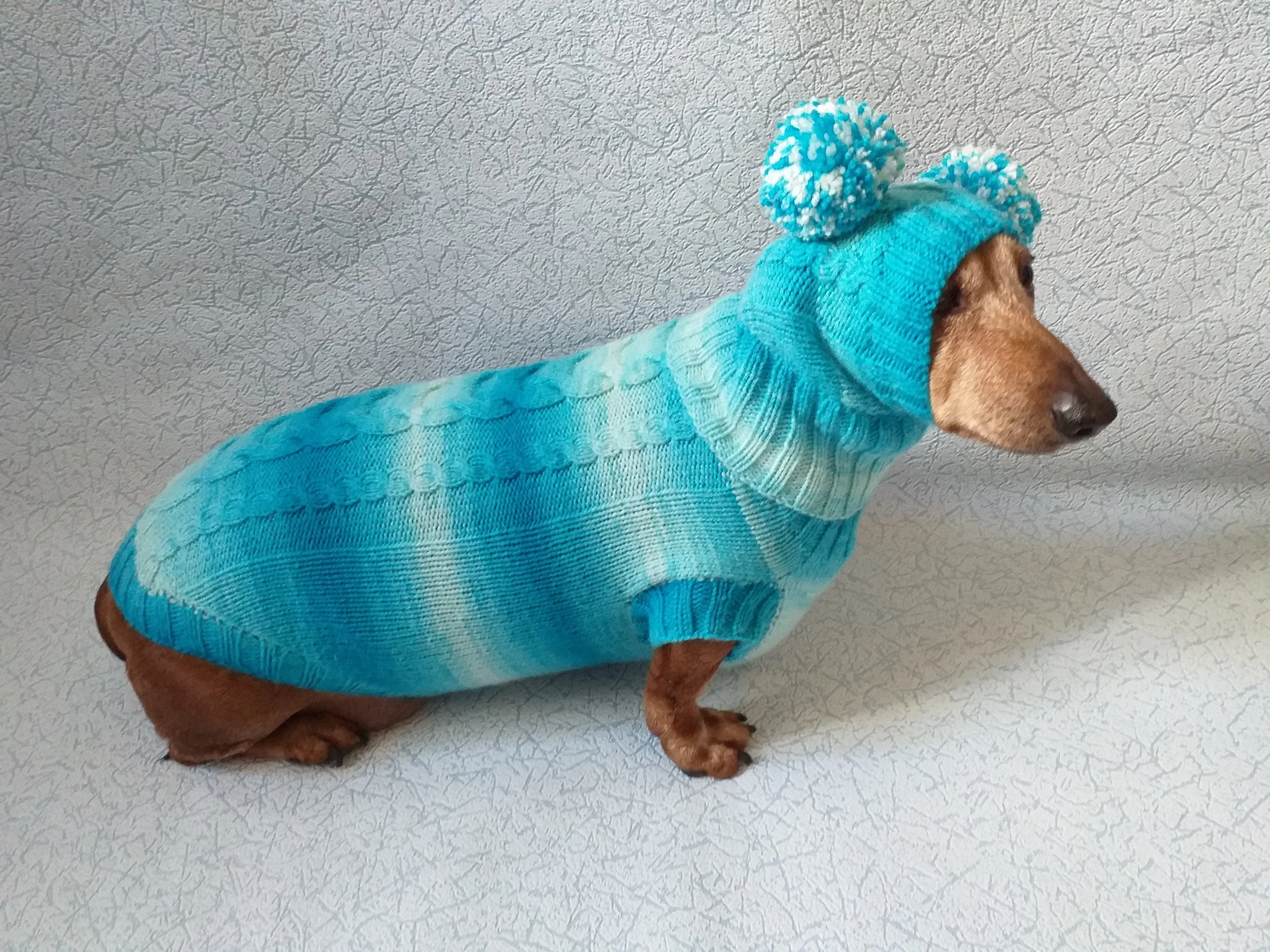 Warm blue suit sweater and hat for dog, clothes for dachshunds