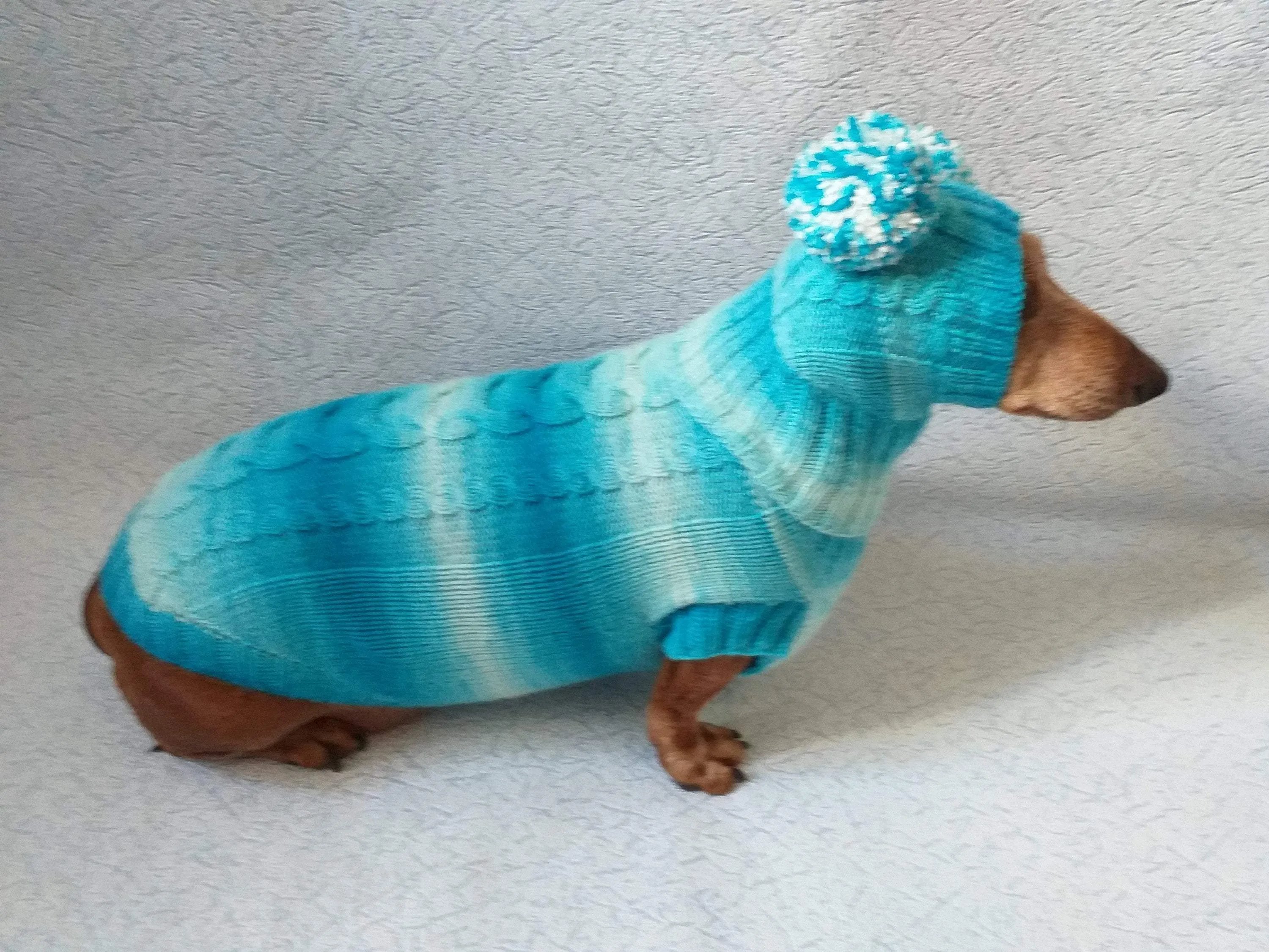 Warm blue suit sweater and hat for dog, clothes for dachshunds