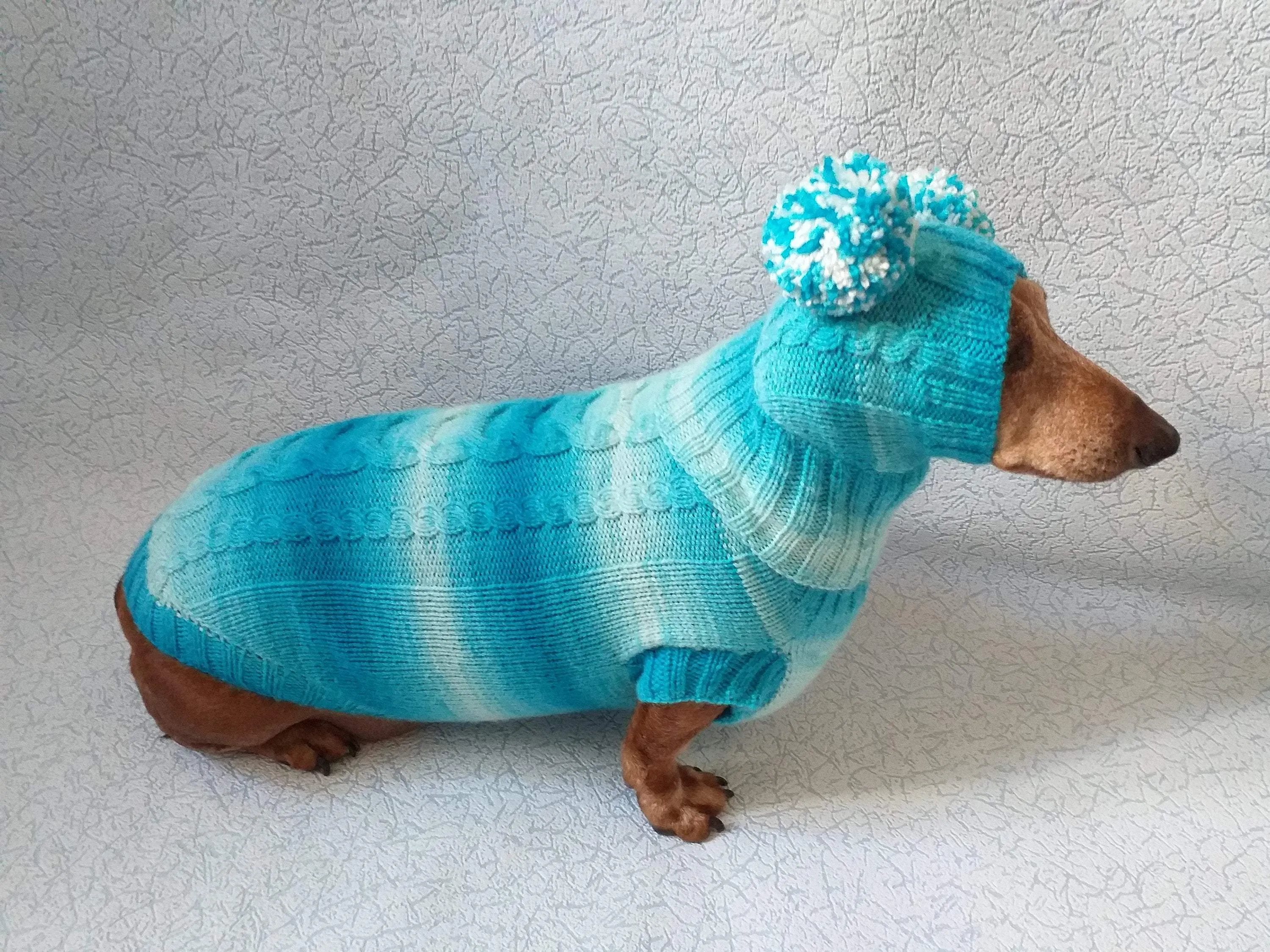 Warm blue suit sweater and hat for dog, clothes for dachshunds