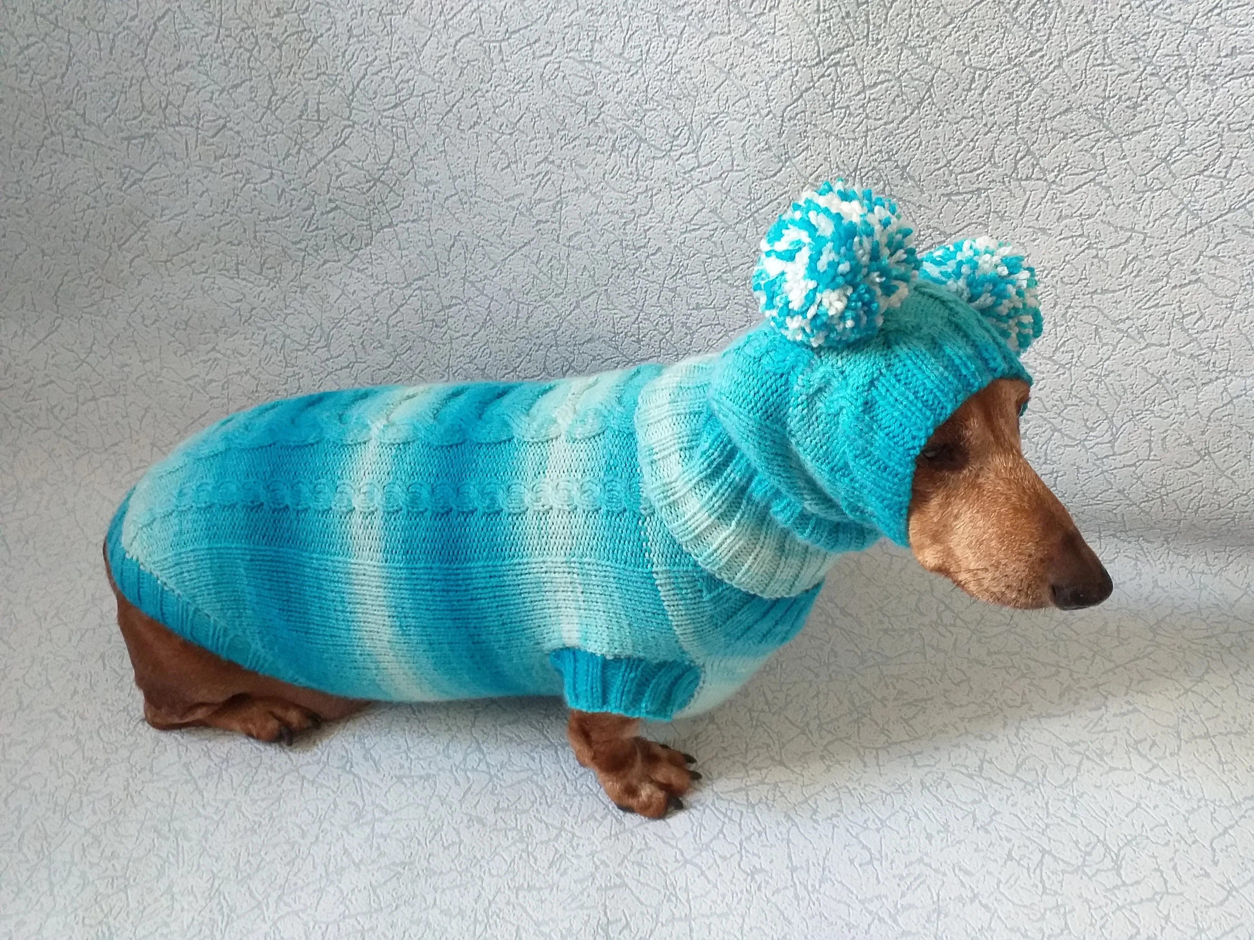 Warm blue suit sweater and hat for dog, clothes for dachshunds