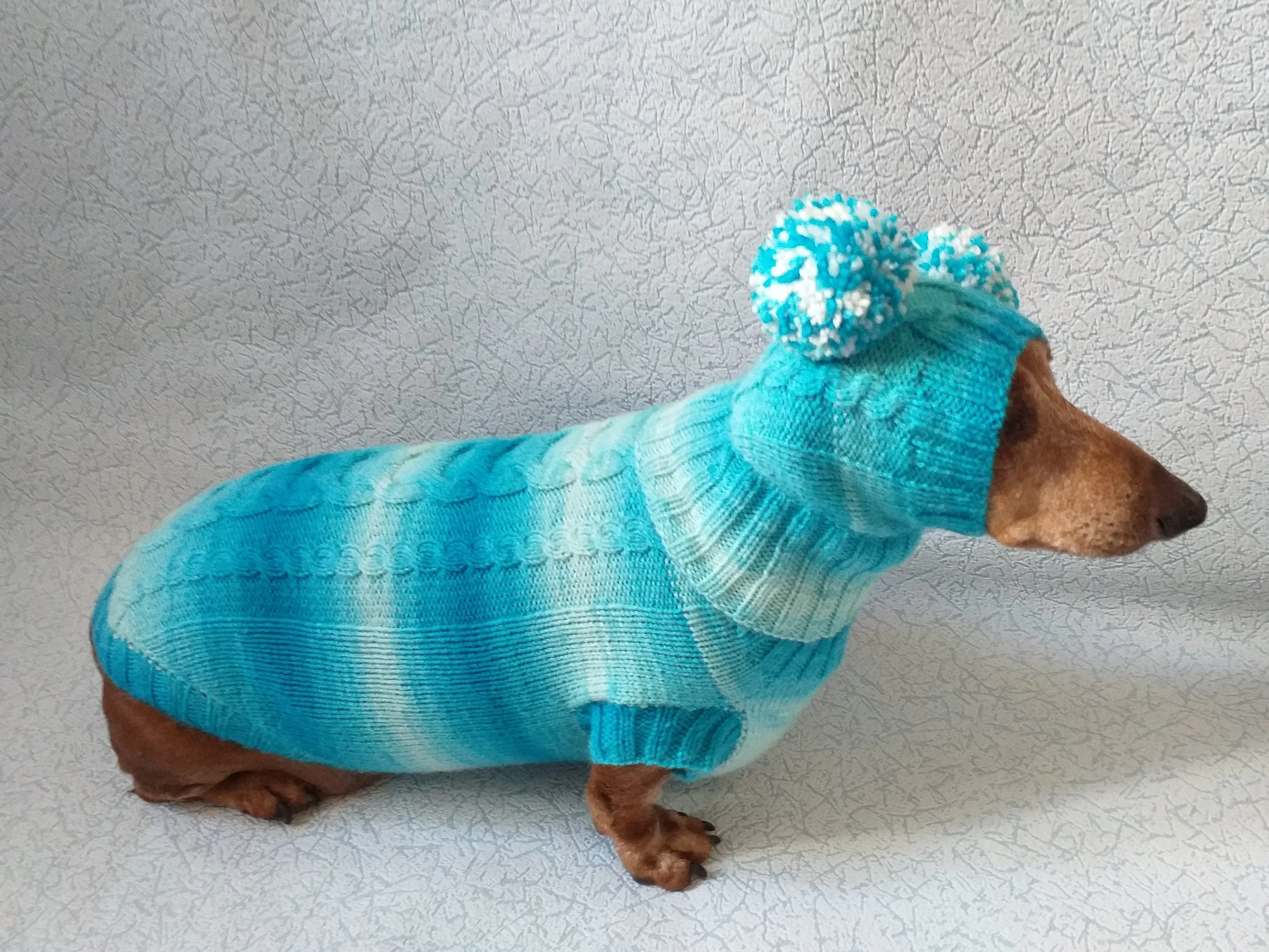 Warm blue suit sweater and hat for dog, clothes for dachshunds