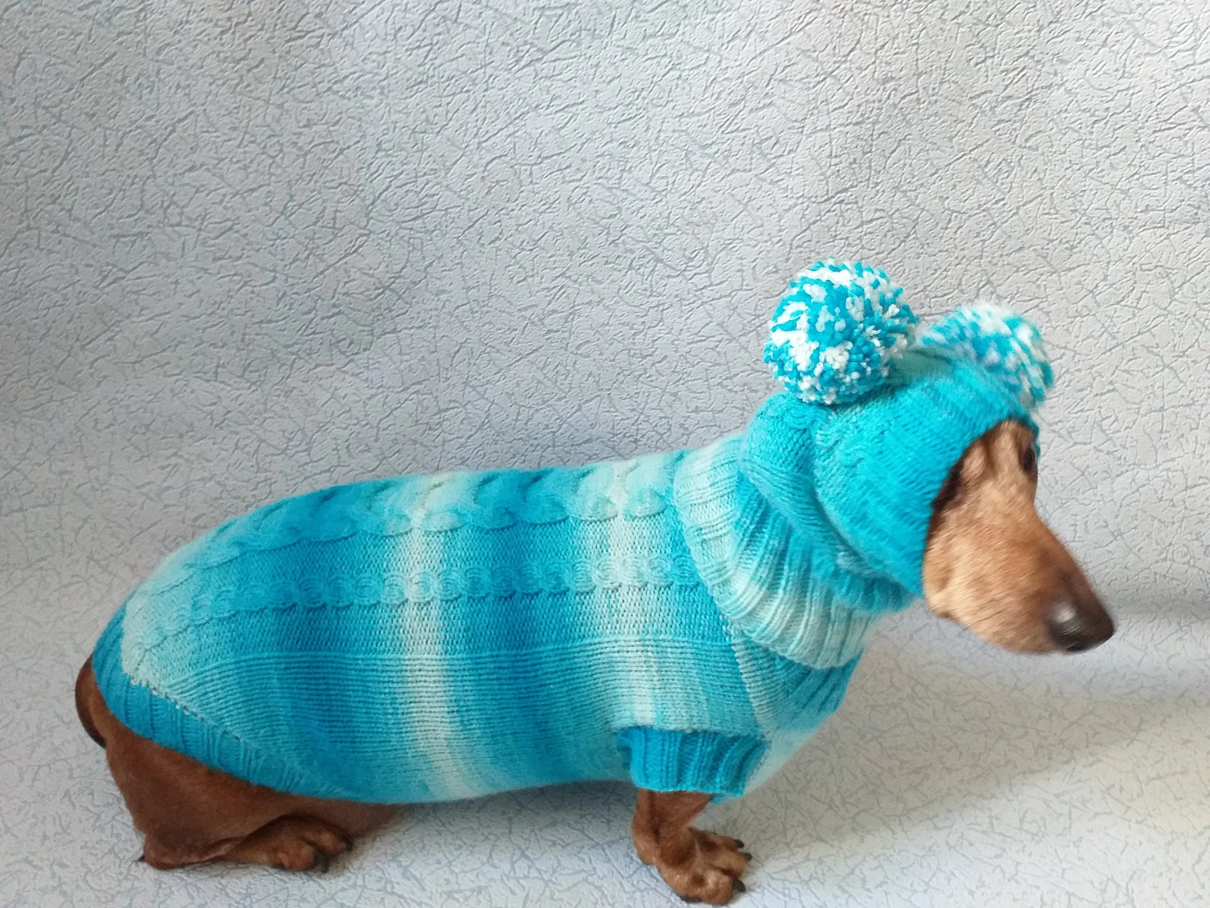 Warm blue suit sweater and hat for dog, clothes for dachshunds