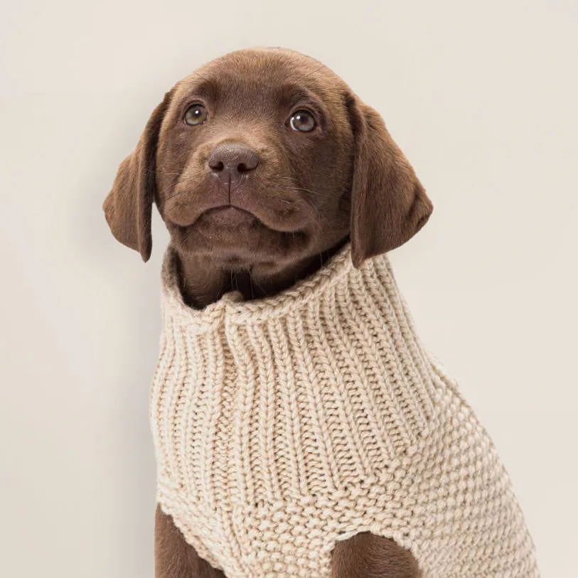 Wool Dog Sweater